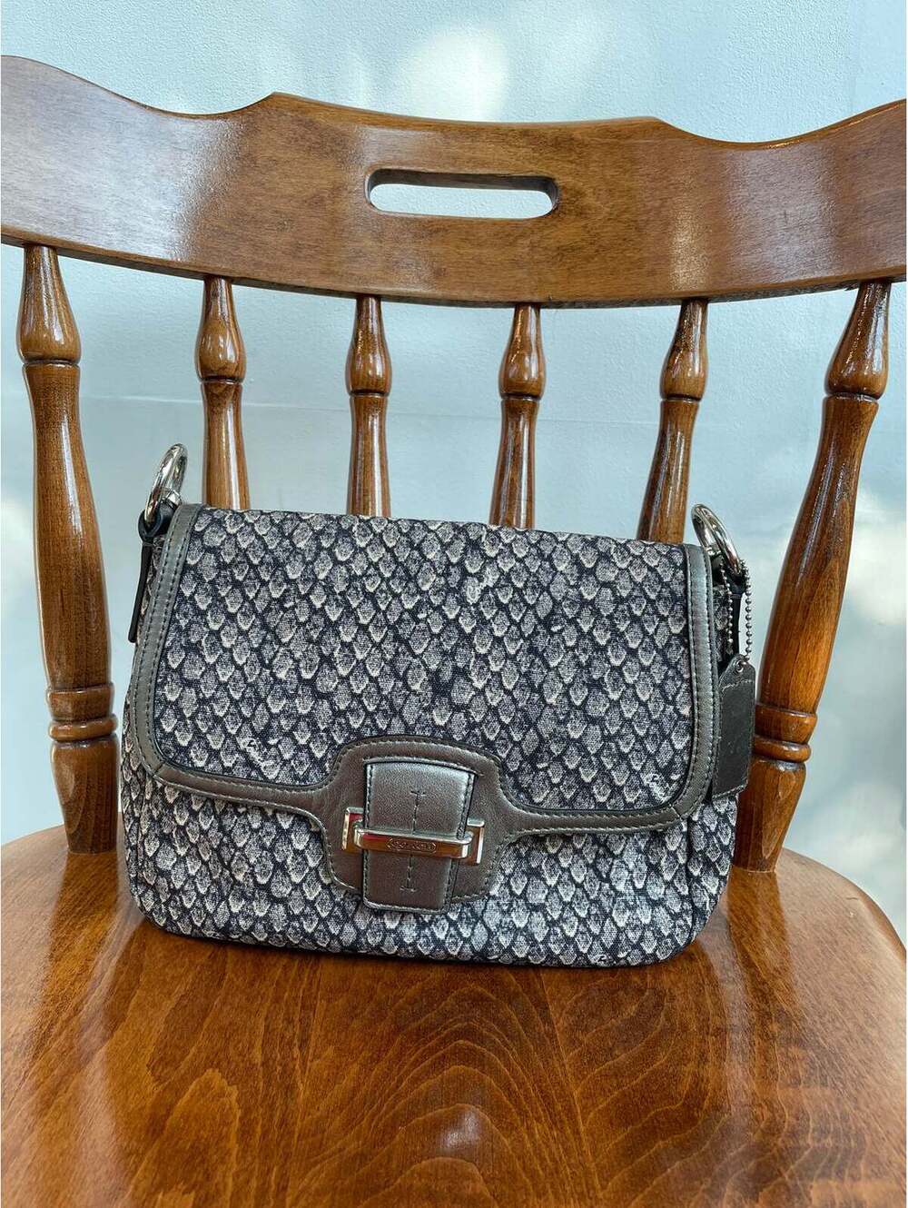Coach Grey Snakeskin Print Bag